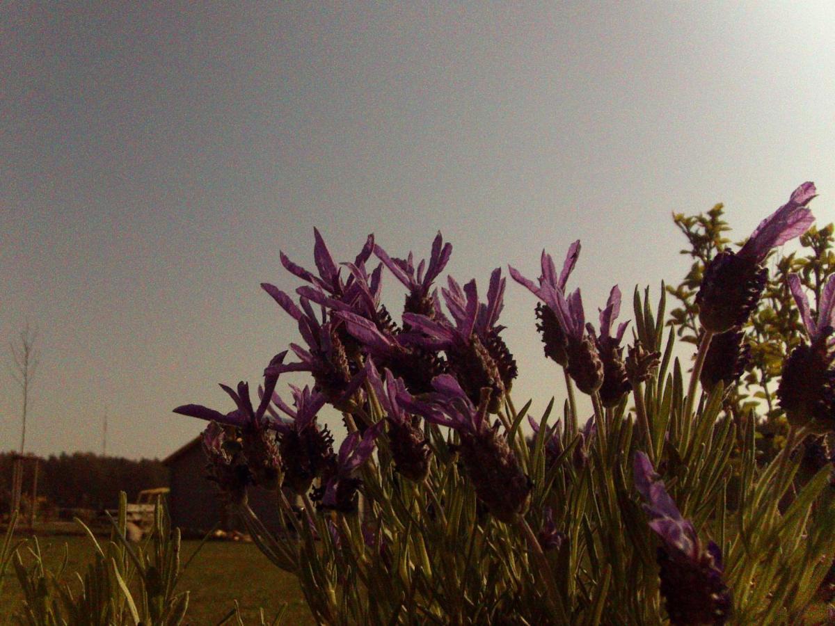 _ Sonnenschein Hébergement de vacances